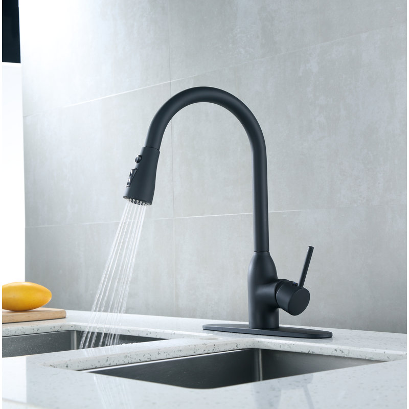 RunFine Group Pull Down Kitchen Faucet