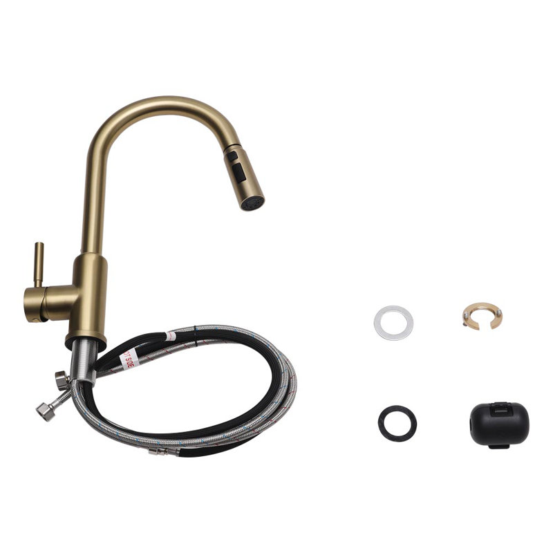 Belfry Kitchen Pull Out Kitchen Faucet