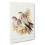 Grey Falcons by Elizabeth Gould - Wrapped Canvas-55359683