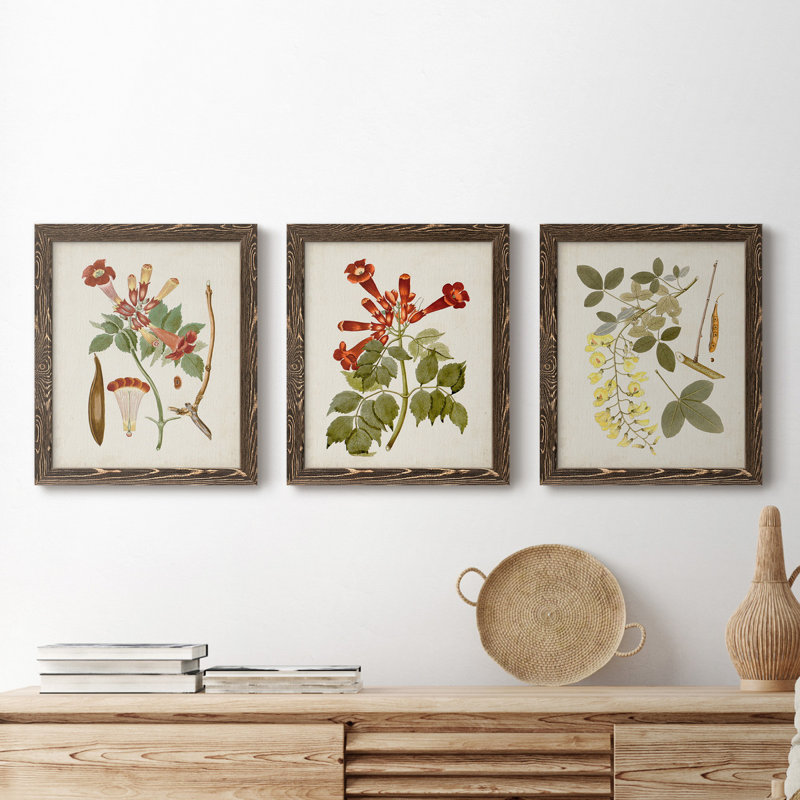 «Vintage Flowering Trees V», ensemble de 3 cadres photo sur toile, H 24 po x l 36 po x P 1,5 po, Noyer