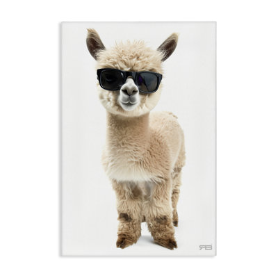 Cool Alpaca & Glasses Canvas Wall Art by Roozbeh Bahramali