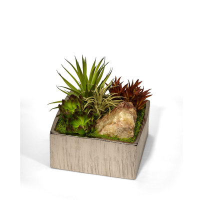 Plant in Metal Planter