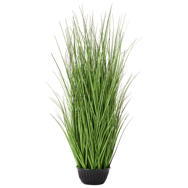120cm Plant