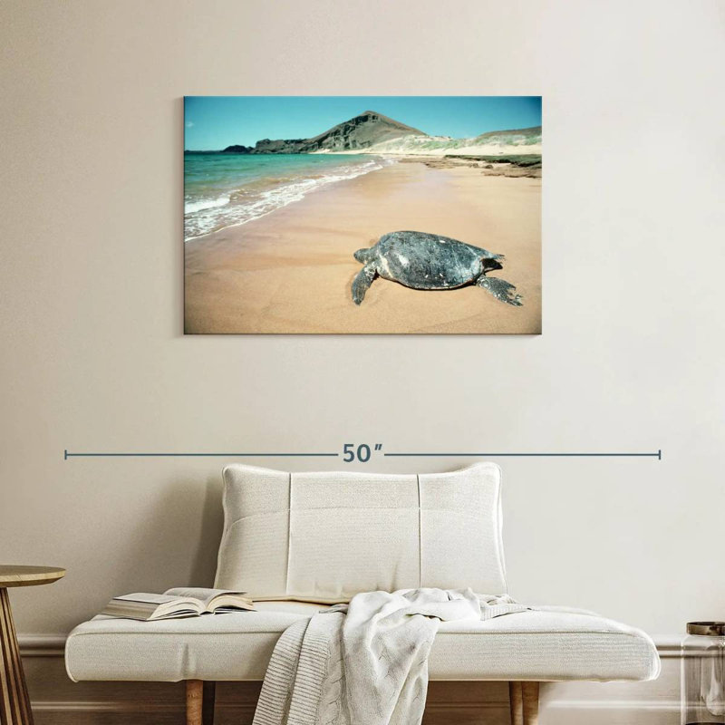 Brampt Galapagos Loggerhead Turtle, 24" H x 36" W