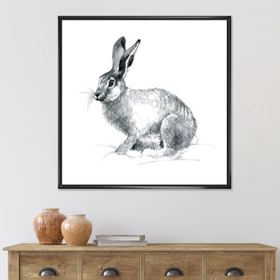 " Monochrome Portrait Of Rabbit "