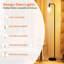 Kaukauna 64.61'' Black Traditional Floor Lamp