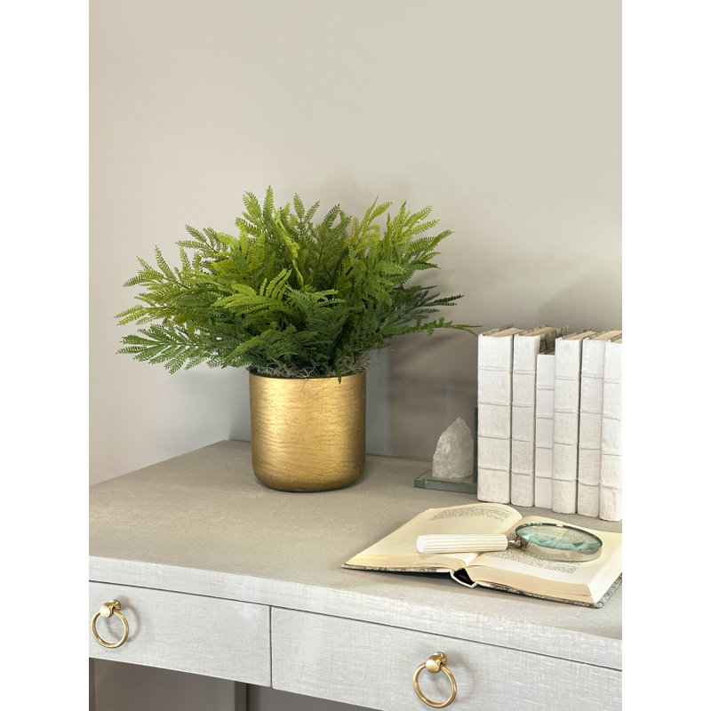 UV Rated Outdoor Ostrich Fern in Fiberstone Pot