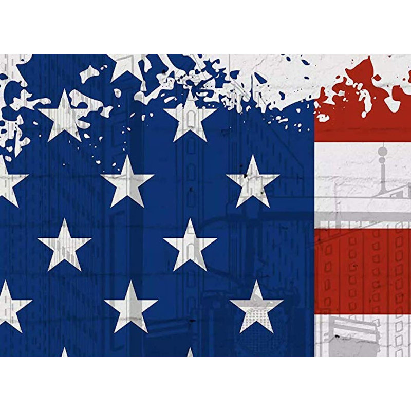 Papier peint Daodu USA, L 75 po x l 112 po