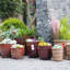 Pot de fleurs-1506795231