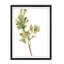 «Earthtone Herbs I», peinture sur toile-1127117564-1127118274