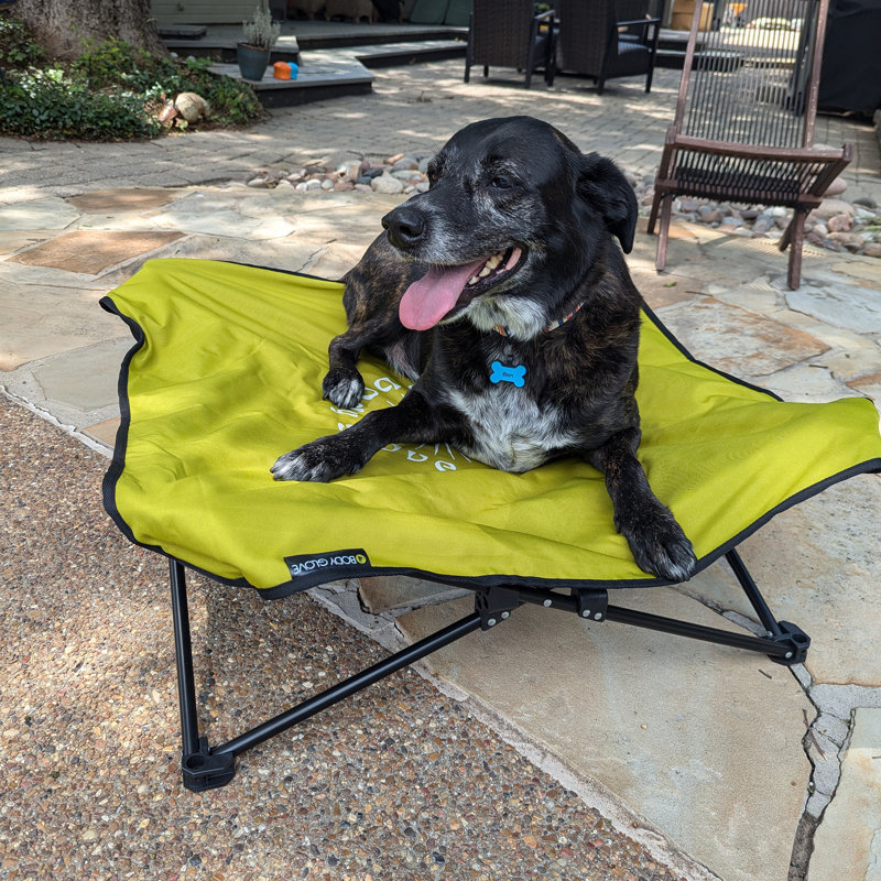 Body Glove Fold & Go Pet Cot
