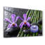 Decorative Tempered Glass Painting