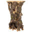 Craggy Bark Tree Ent Side Table