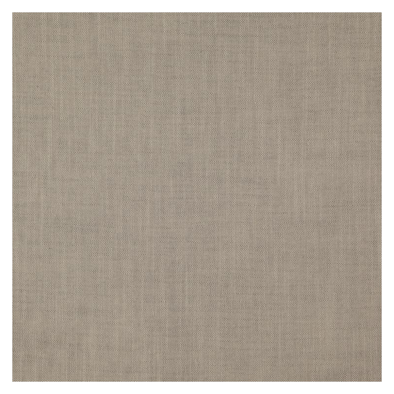 Tissu Strata, Huître