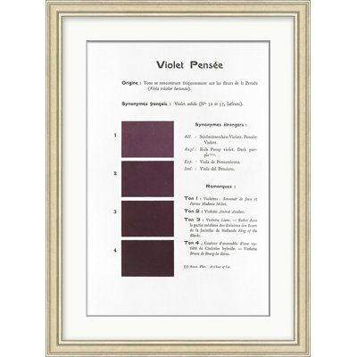 Violet 10 Print by Danielle Rollins