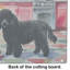 Poodle Christmas Cookies Glass Cutting Board