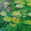 " Water Lilies " by Claude Monet-1337130645-1341167764