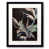 Black Framed Paper is unavailable