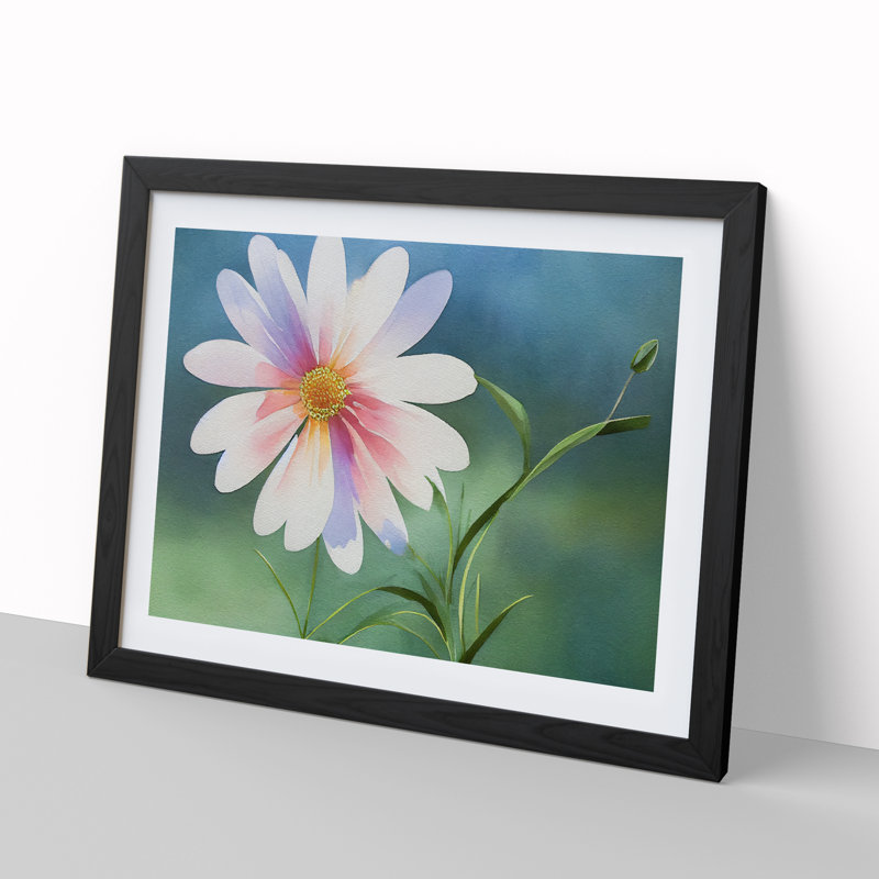 Watercolour Daisy Flower Vol.2 - Framed Print, Black, 25cm H x 34cm W x 2cm D