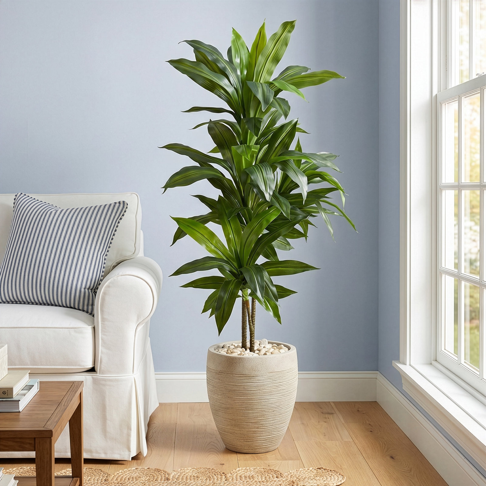 48" Foliage Plant in Planter
