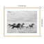 Horse Run I by PHBurchett-558661565-558661570