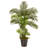 Faux Palm Tree-1366935604