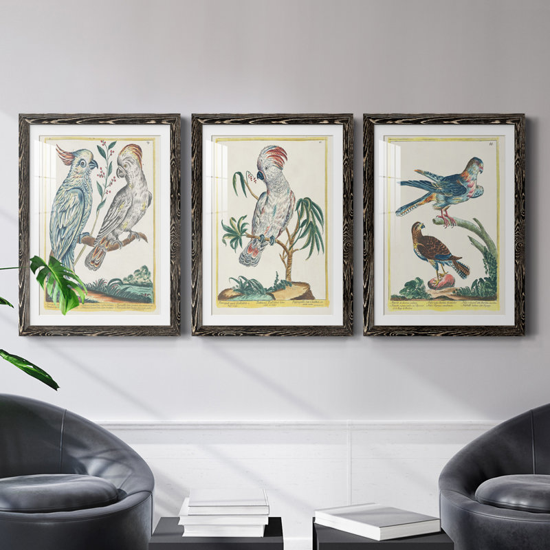 Pastel Birds I Premium encadré mat - prêt à être accroché, Noir, H 24 po x l 54 po x P 1,5 po