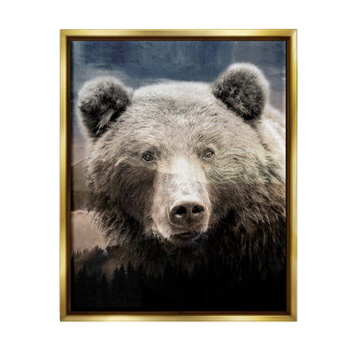 " Grizzly Bear Face Portrait "