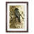 Walnut Framed selected