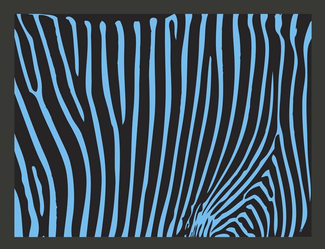 Fototapete Zebra Pattern 2,31 m x 300 cm