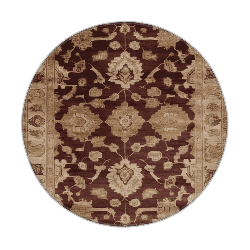 Tapis intérieur et extérieur brun Overdyed, Rond 5 pi