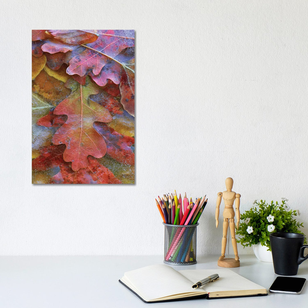 Fallen Autumn Colored Oak Leaves Frozen On The Ground von Tim Fitzharris - Gallery-Wrapped Canvas Giclée on Canvas