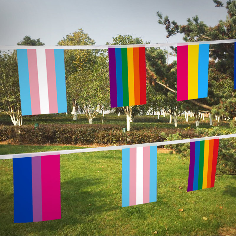 Abbad 32pcs Assorted Rainbow String Flags - 4 Mixed Pennant Banners with LGBT, Pansexuality, Bisexuality, and Transgender - 32 Flags 26 Feet