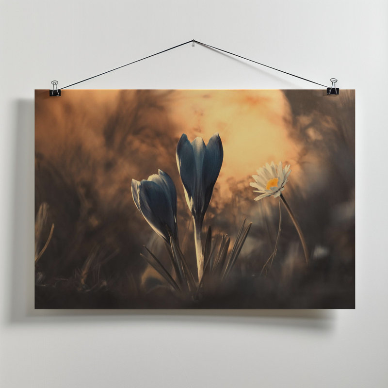 Wrapped Canvas Print, 50.8cm H x 76.2cm W