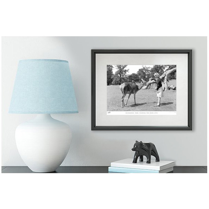 Richmond, Park, Feeding The Deer C1955 by Francis Frith - Single Picture Frame Print, 60cm H x 80cm W x 2.3cm D