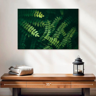 Feuilles d'acacia Harnek