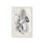 Impression sur toile Chalkline Roundabout I par June Erica Vess-59312038