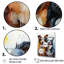 Border Collie Brilliance II - reproduction sur toile-1570572075-1344750906