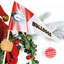 NCAA 12 "College Spirit Proud Santa-1478172