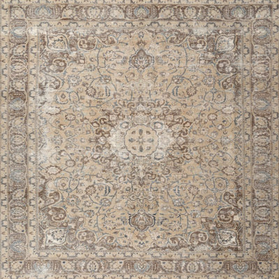 Performance Wool Oriental Indoor Rug