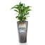 Delta Premium Pot Planter-16493075-16493077