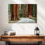 Sequoia Park Road-1253403535