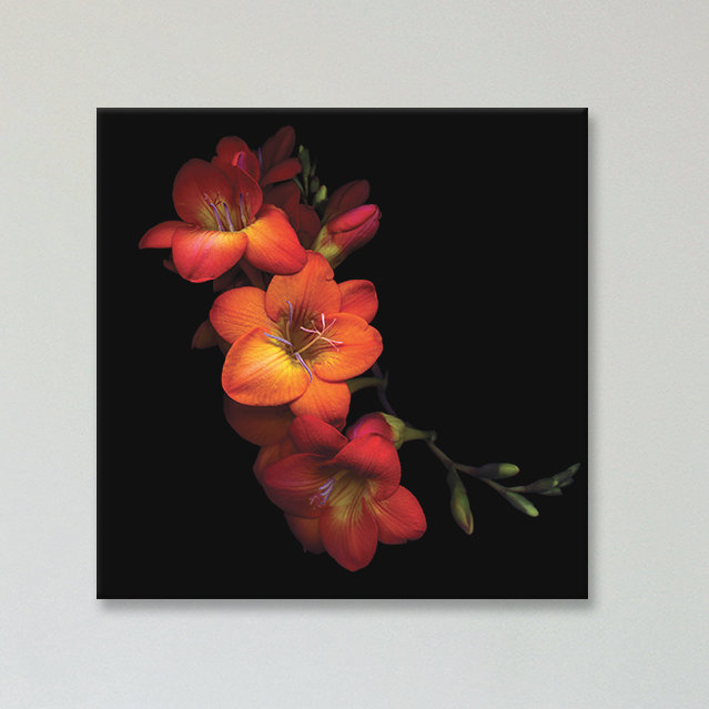 Orange et épices, reproduction de photo sur toile tendue, H 12 po x l 12 po x P 0,75 po