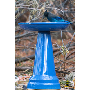 Ohio Stoneware Weather Resistant Ceramic Clay Pedestal Bird Bath for Gardens & Patios, Outdoor Décor  22"H x 17"D