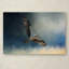 «Winter Osprey» de Vidur, impression sur toile tendue-22071337