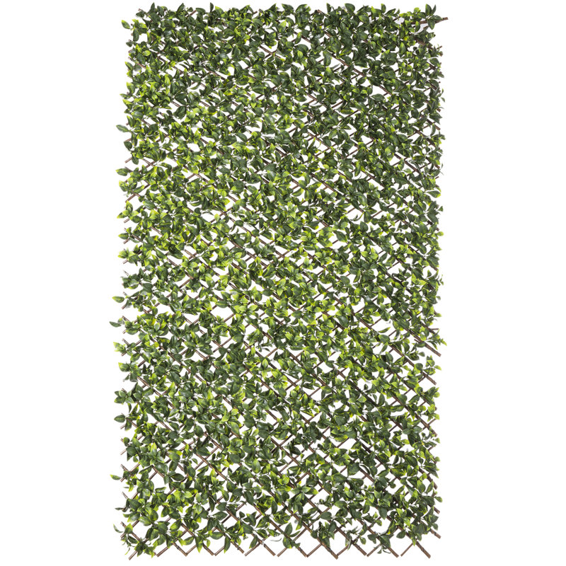 Maen 200cm H x 100cm W Vinyl Expanding Trellis