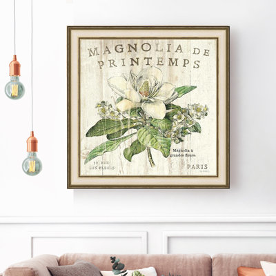 " Magnolia De Printemps "