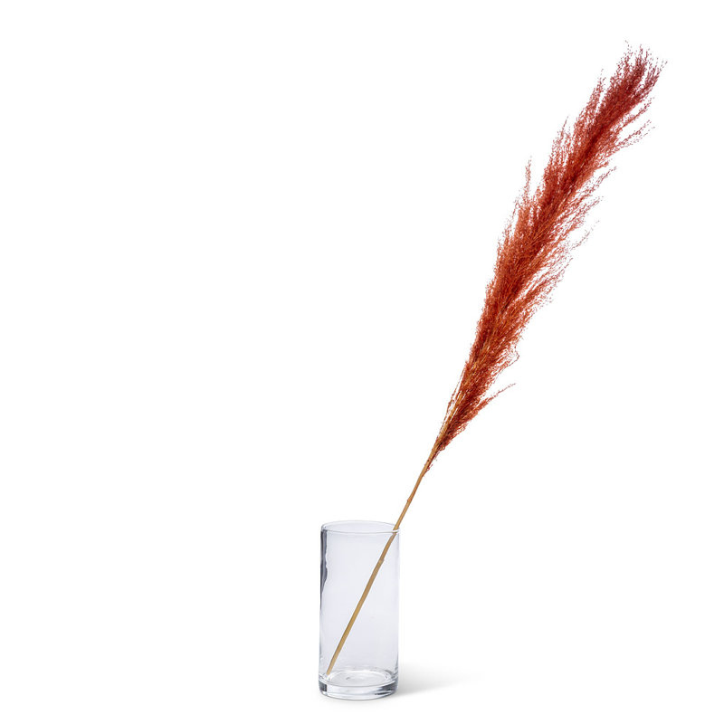 Ensemble de 56 po Pampas, Brun
