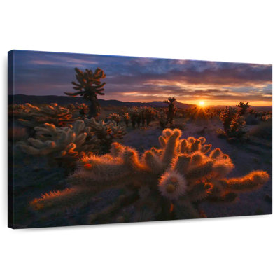 Alvord Mojave Desert Sunrise