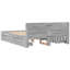 Storage Bed-58558672-58558671